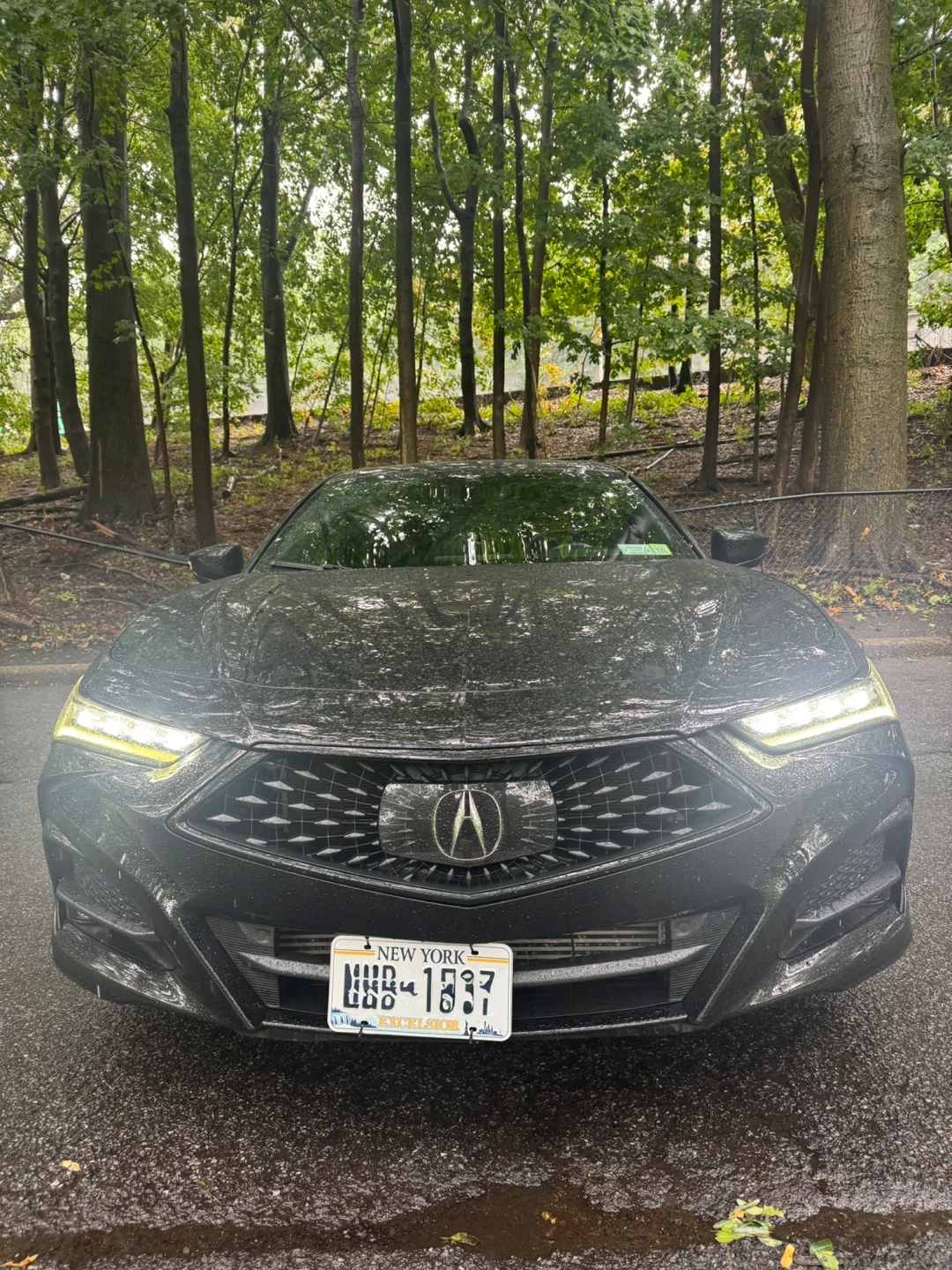 2021 Acura TLX A-Spec - photo 2
