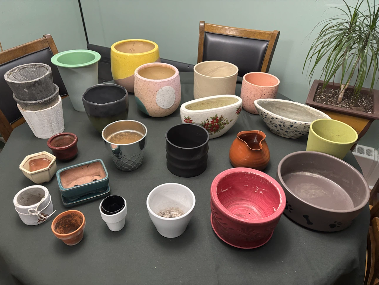 Assorted decorative ceramic plant pots