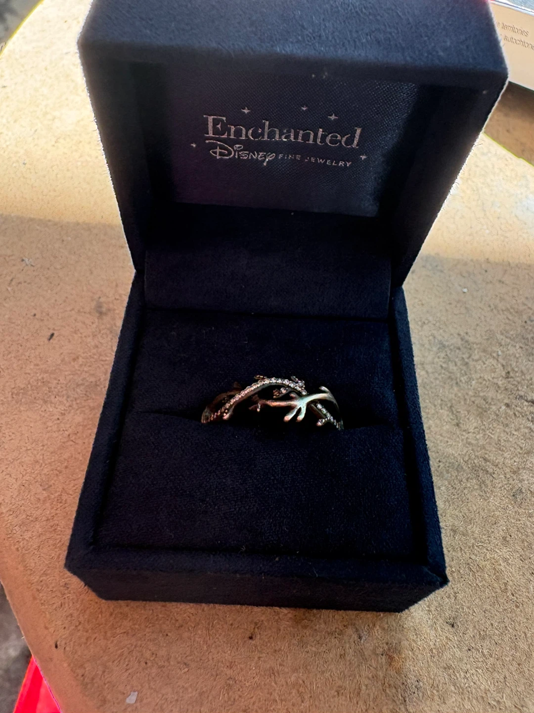 Enchanted Disney - photo 5