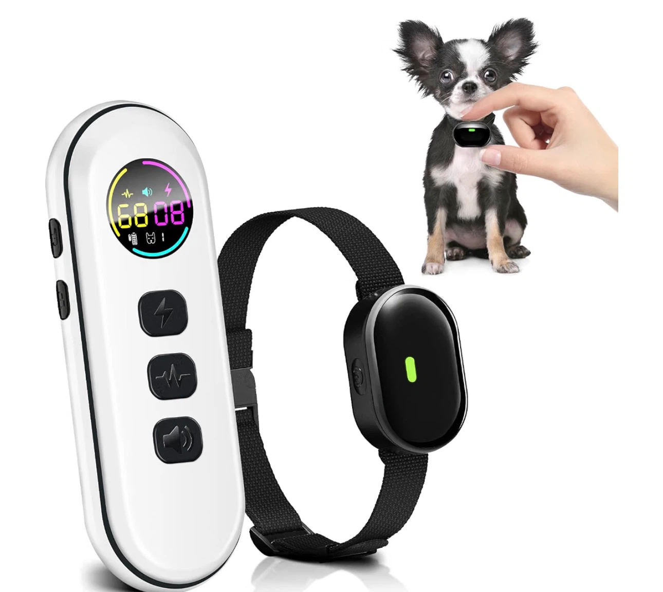 Small Dog Training Collar