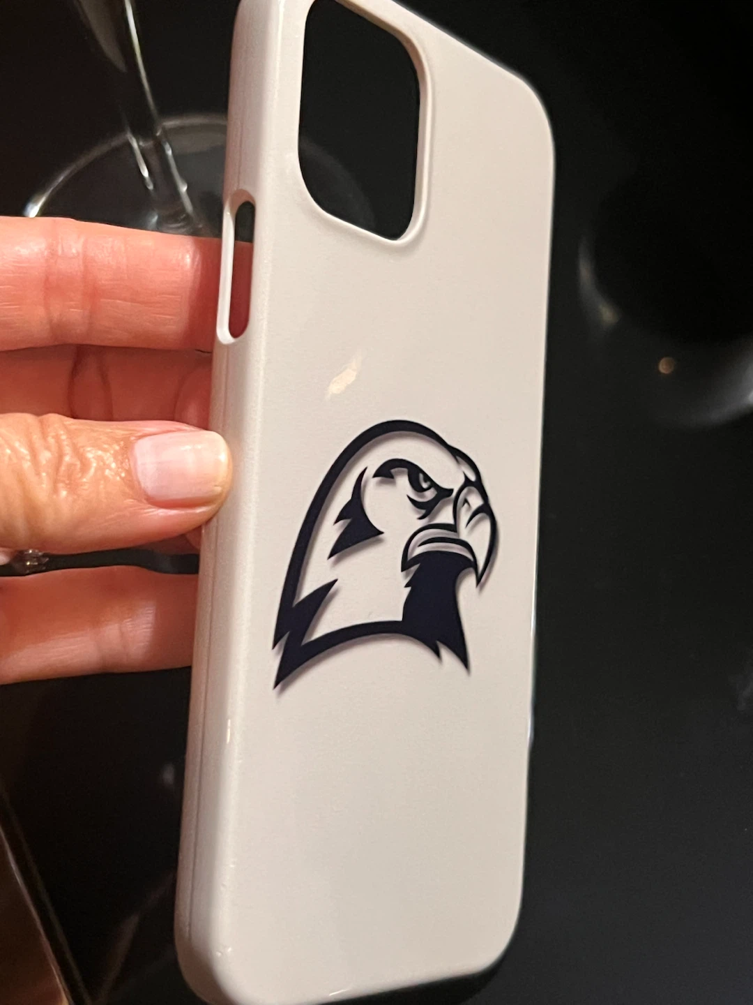 Eagle/hawk phone Case for iPhone 12/12 pro (6.1”) - photo 5