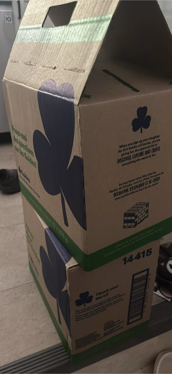 Girl Guides Chocolatey Mint Cookies - 12 Pack Case