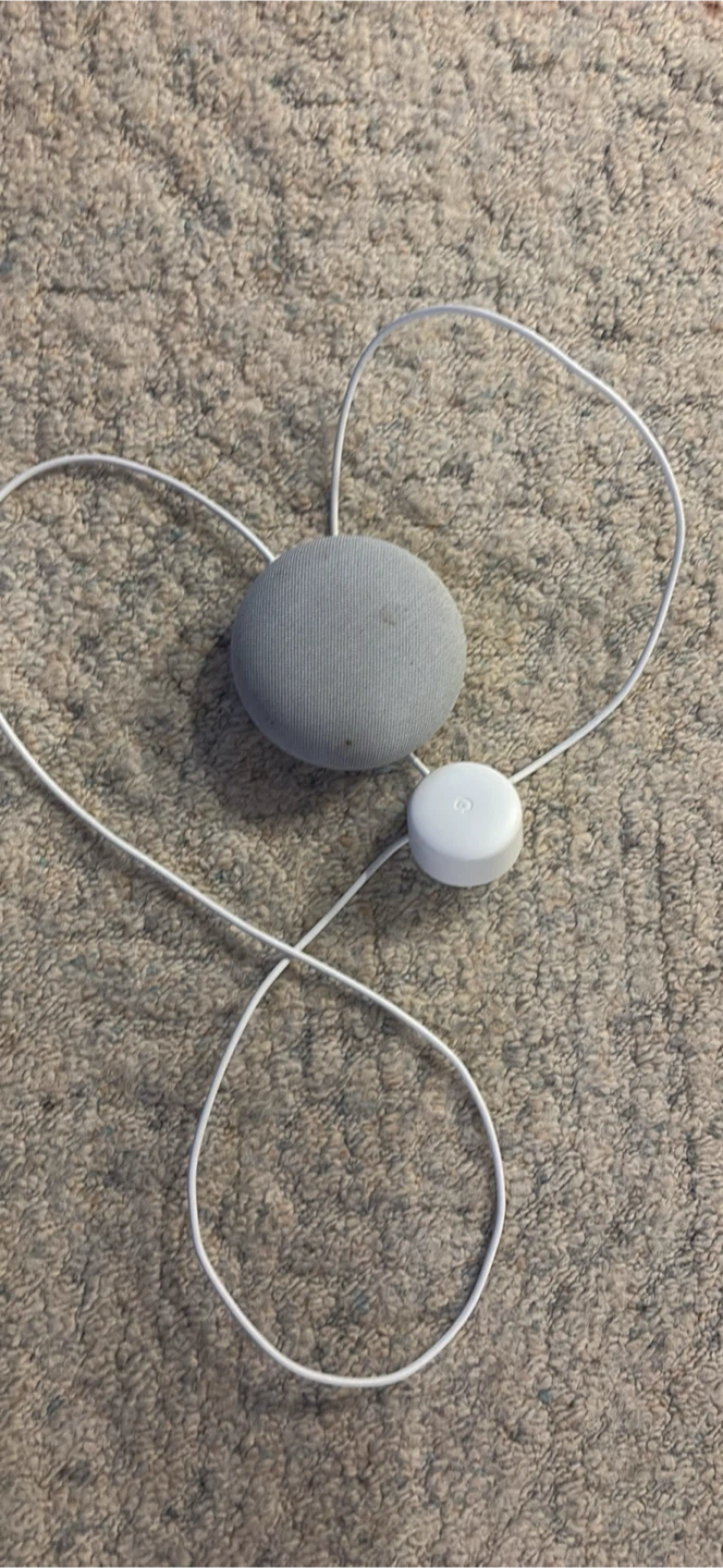 Google Nest Mini Smart Speaker