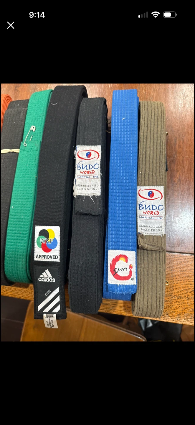 Assorted Martial Arts Belts