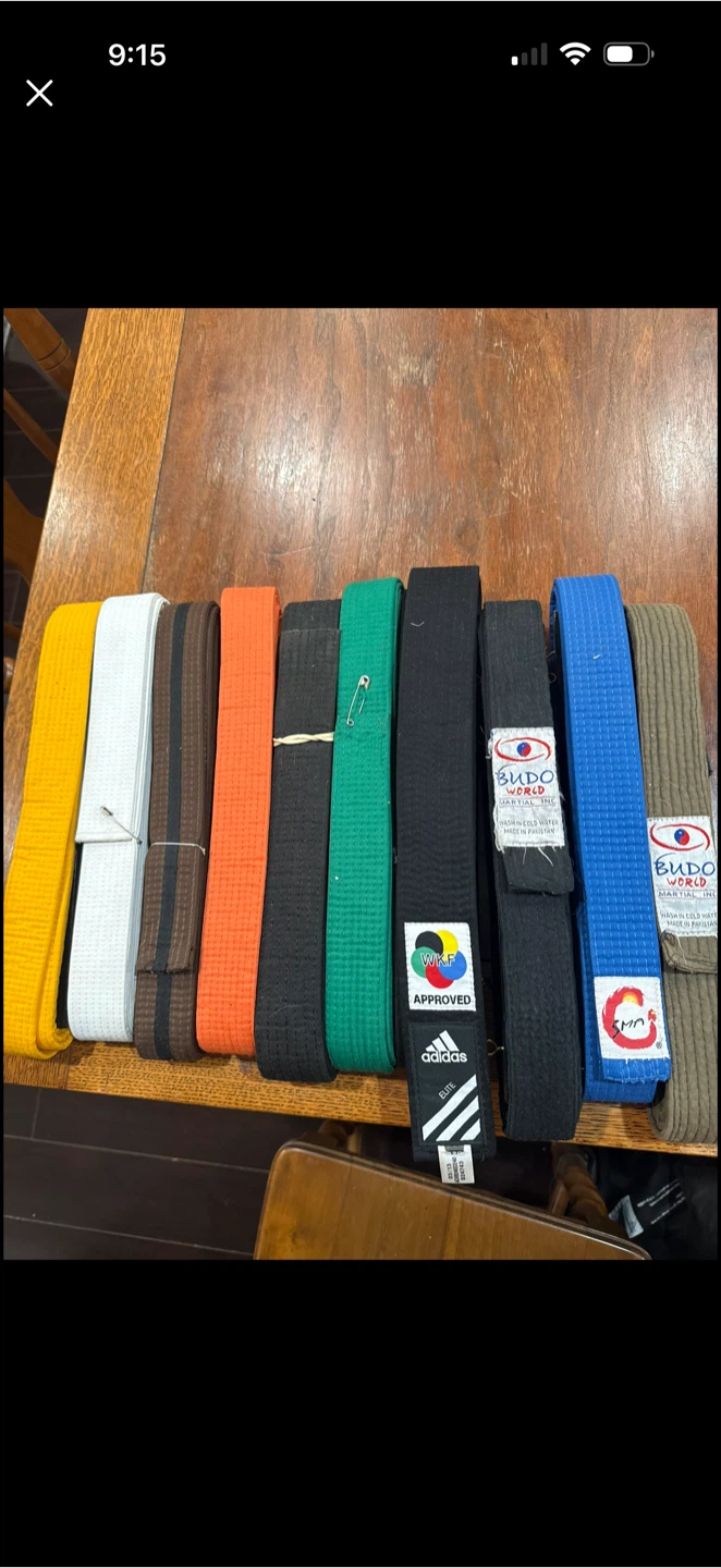 Assorted Martial Arts Belts - photo 2