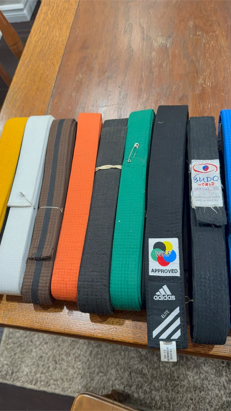 Assorted Martial Arts Belts - photo 5
