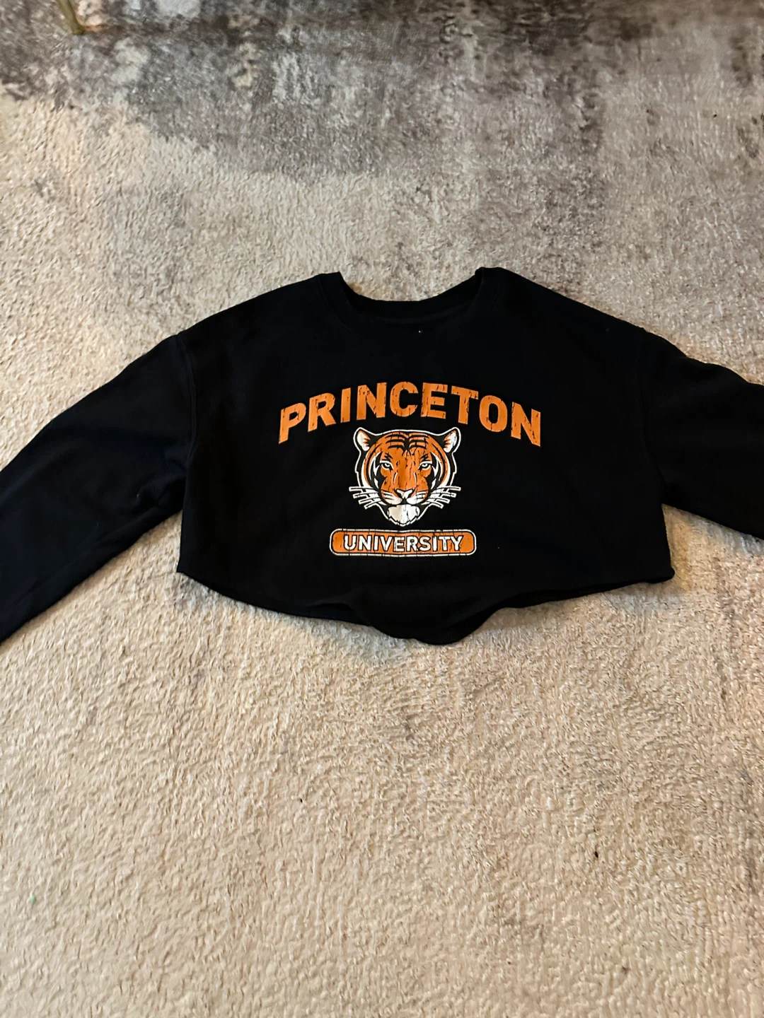 Princeton University Black Cropped Sweatshirt