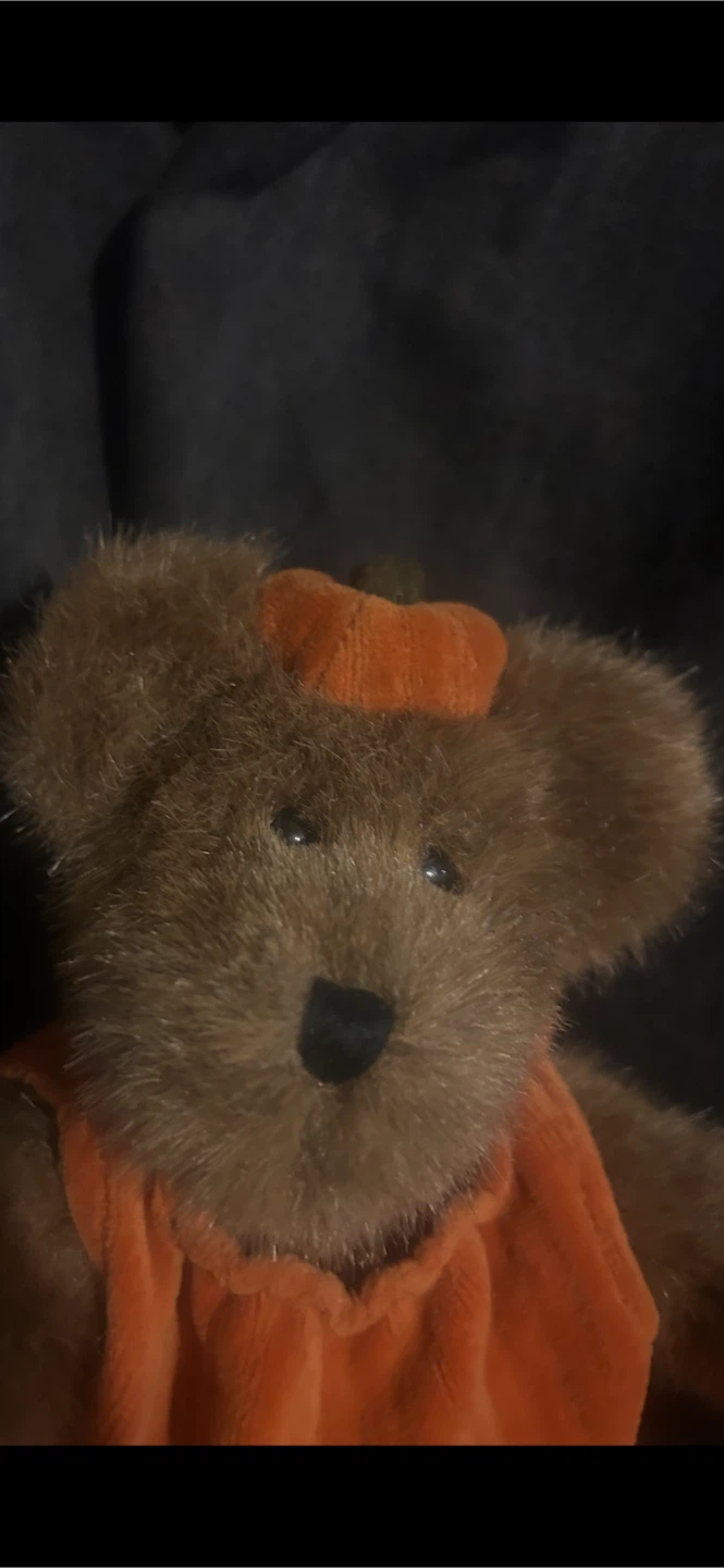 Boyds Collection Pumpkin Bear - photo 2