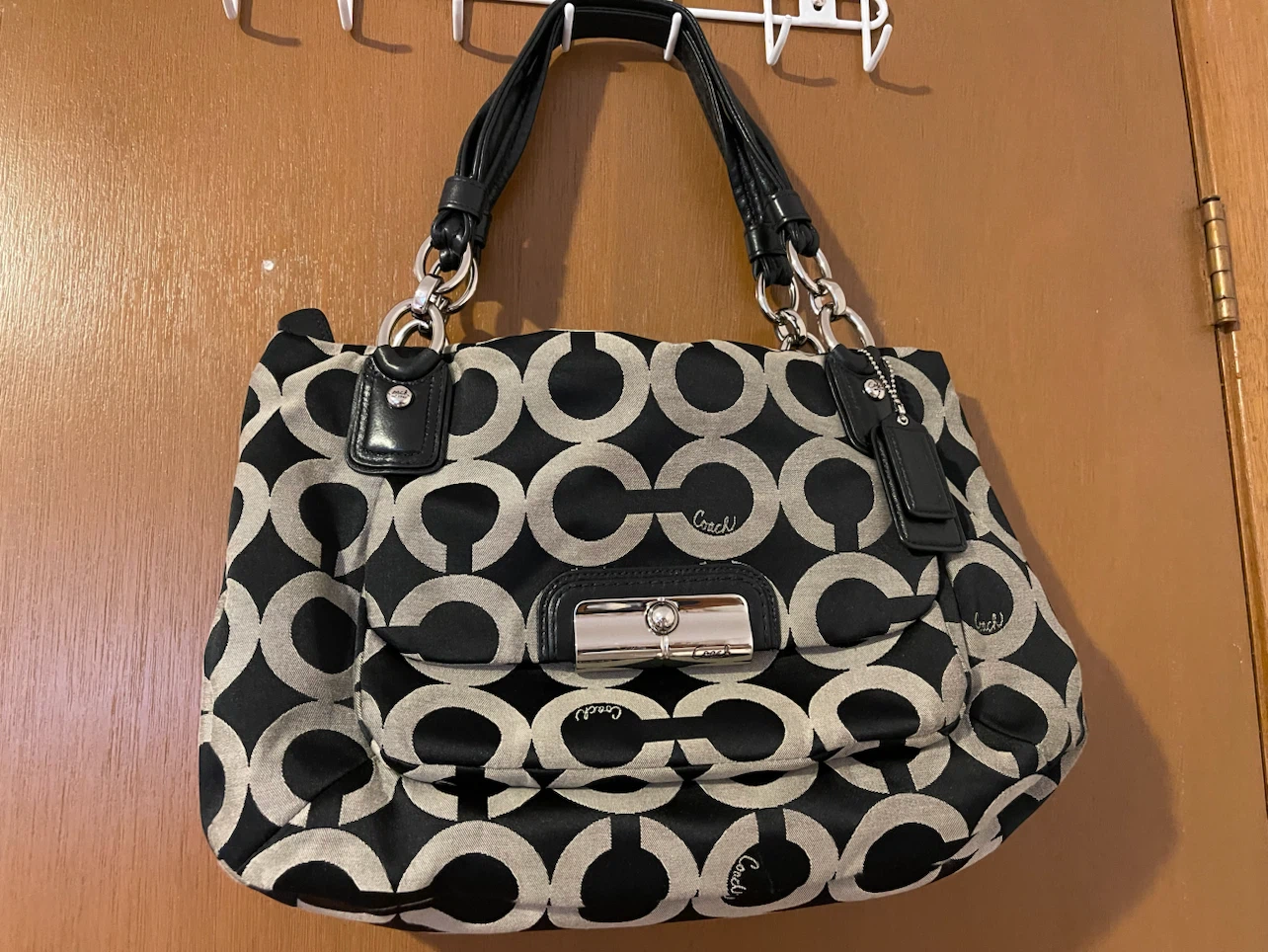 Coach Signature Print Shoulder Bag