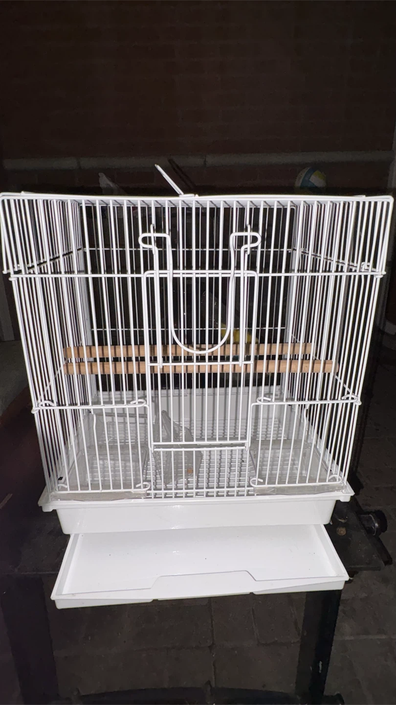 White Metal Bird Cage
