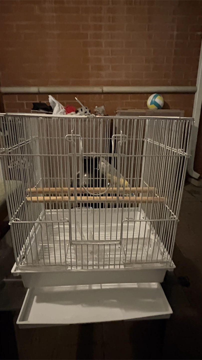 White Metal Bird Cage - photo 2