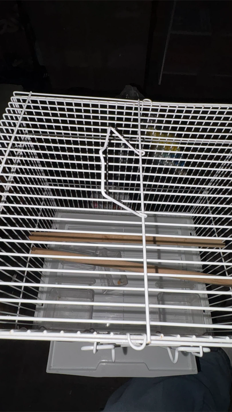 White Metal Bird Cage - photo 3