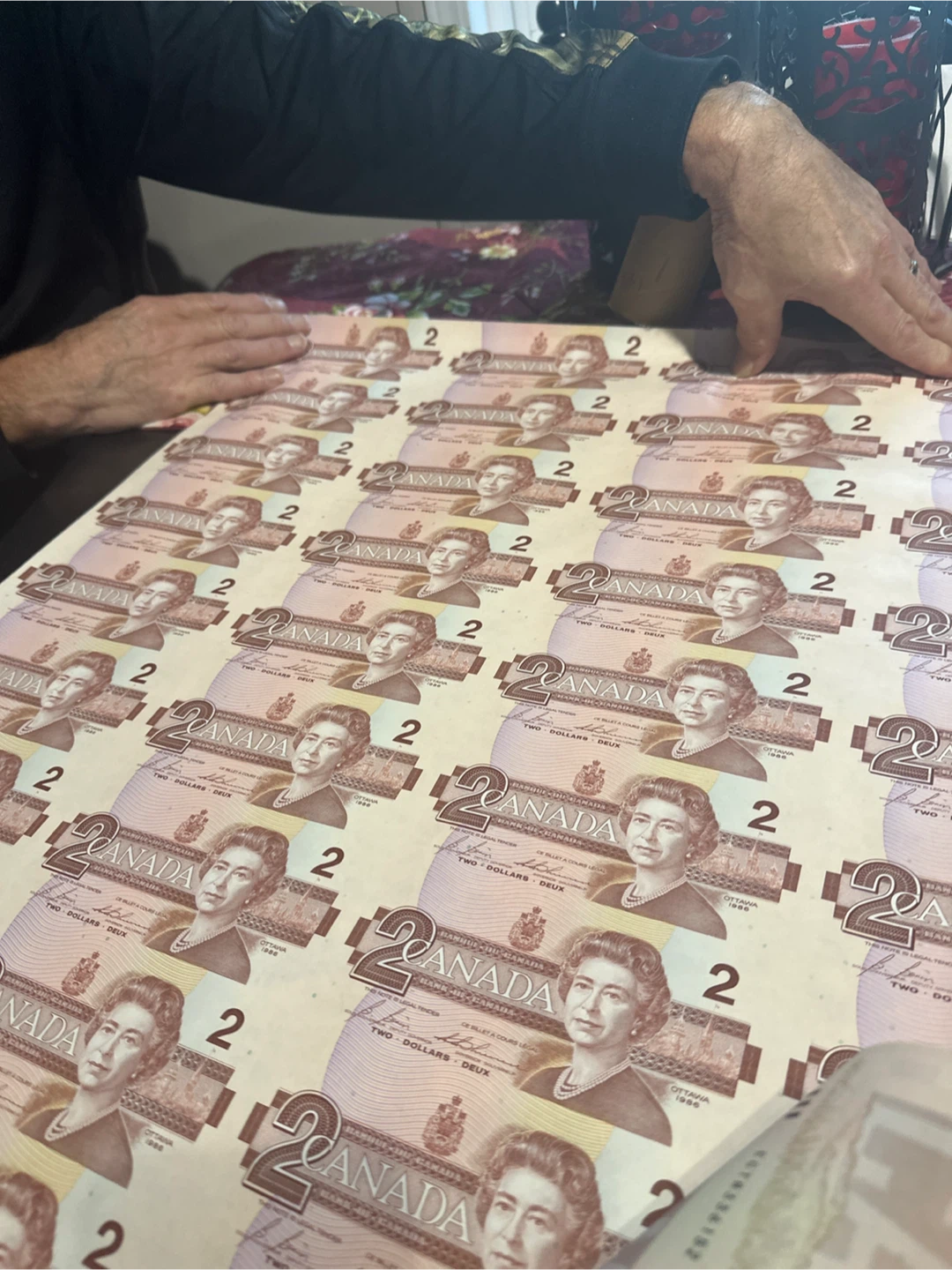 Uncut Sheet of 40 Canadian Two Dollar Bills - photo 2