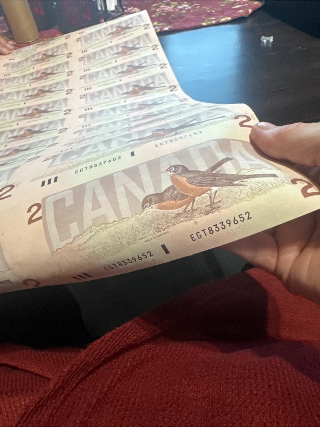 Uncut Sheet of 40 Canadian Two Dollar Bills - photo 3