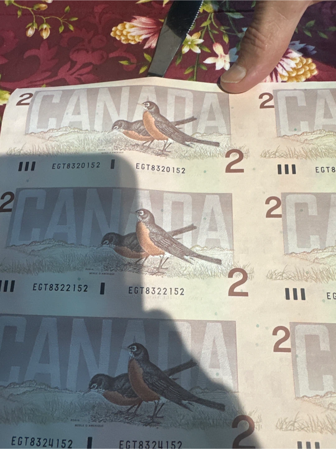 Uncut Sheet of 40 Canadian Two Dollar Bills - photo 4