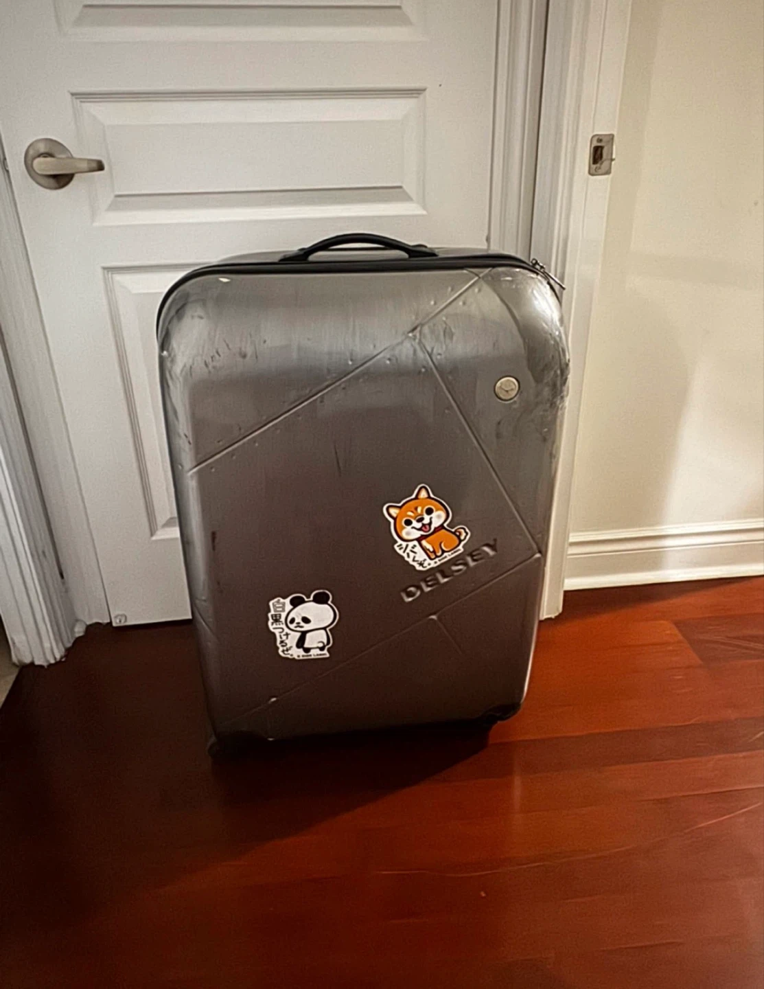 Delsey Hardside Spinner Luggage