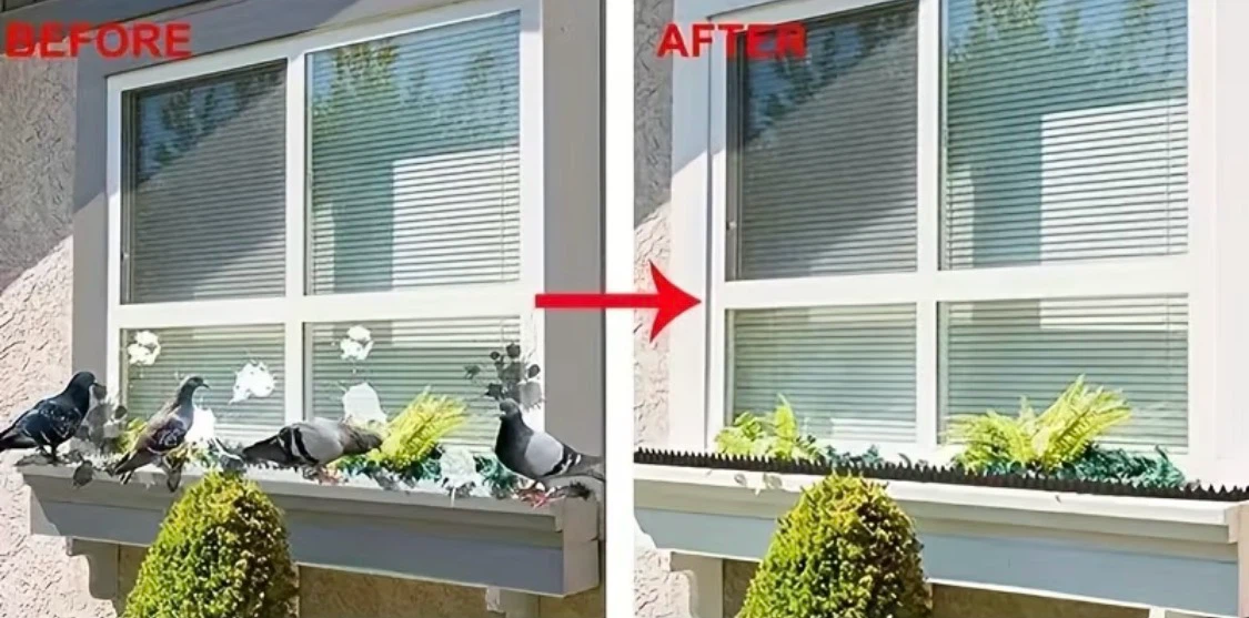 NEW Bird Deterrent Spikes - photo 3