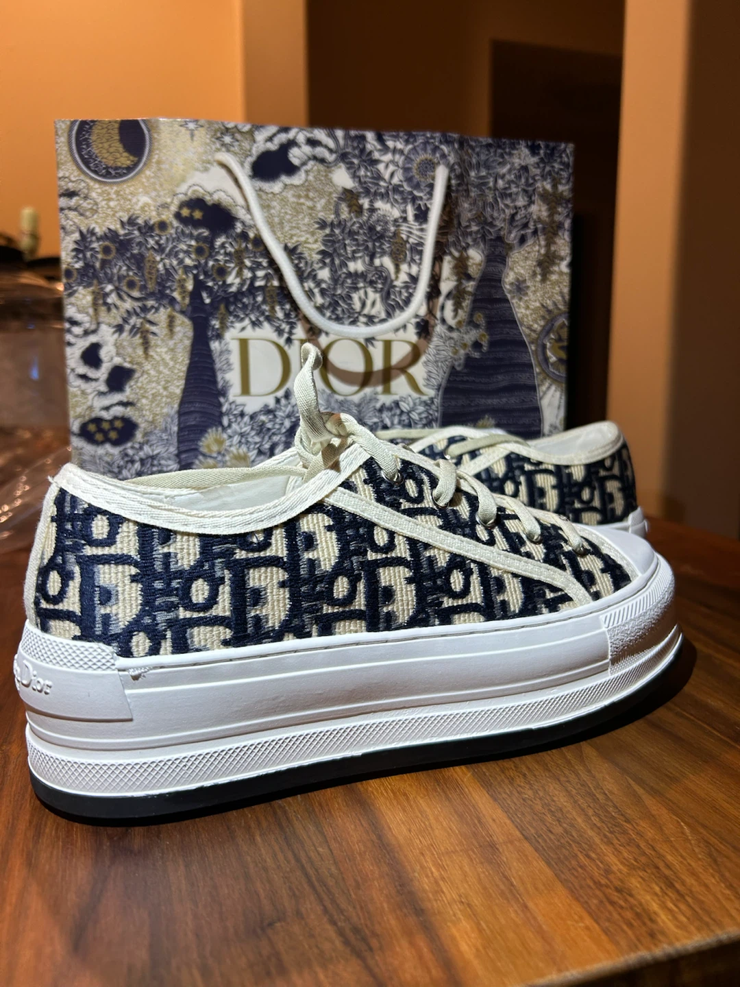 Dior Oblique Canvas Sneakers