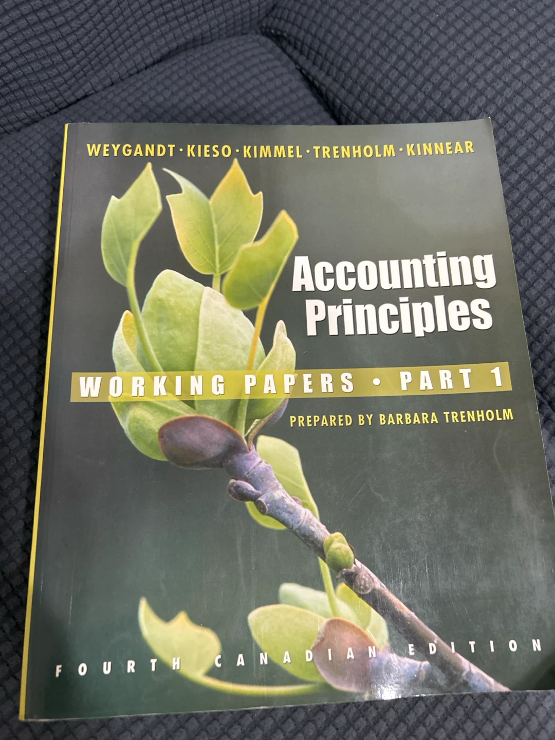 Accounting Principles Working Papers Part 1 4th Edition