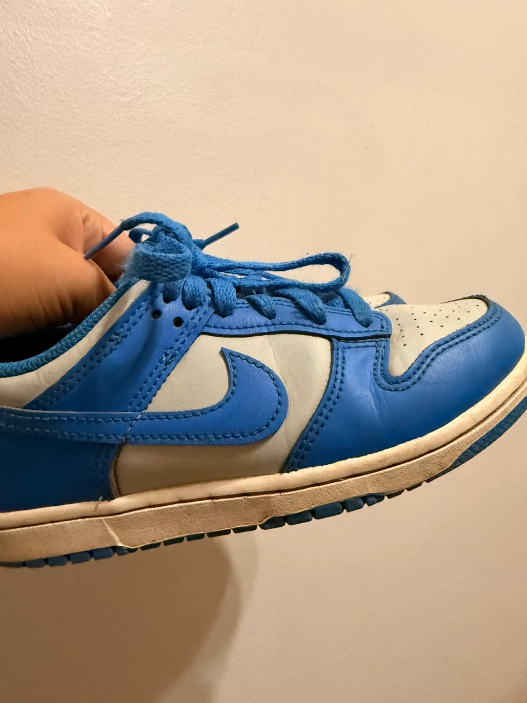 Nike Dunk Low Blue and White Sneakers