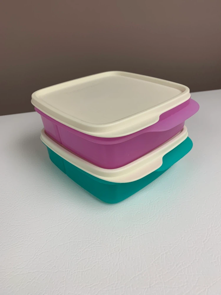 Tupperware Divided Lunch Containers