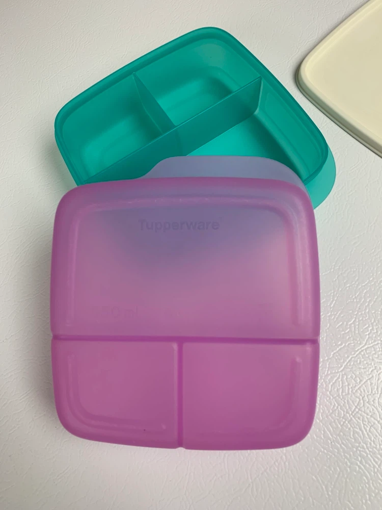 Tupperware Divided Lunch Containers - photo 4