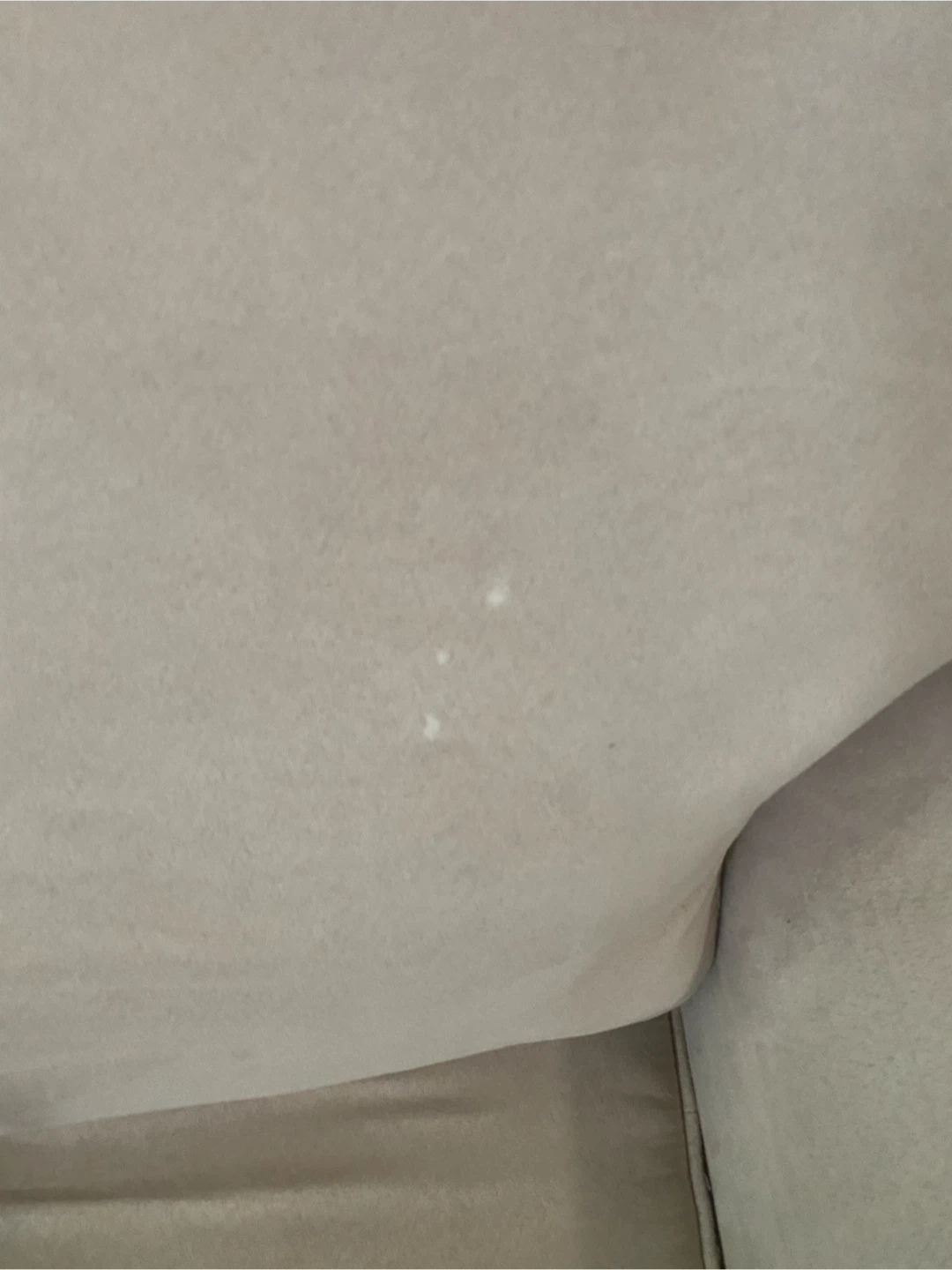 Loveseat - photo 4