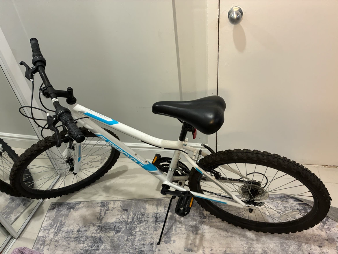 Supercycle Mountain Bike