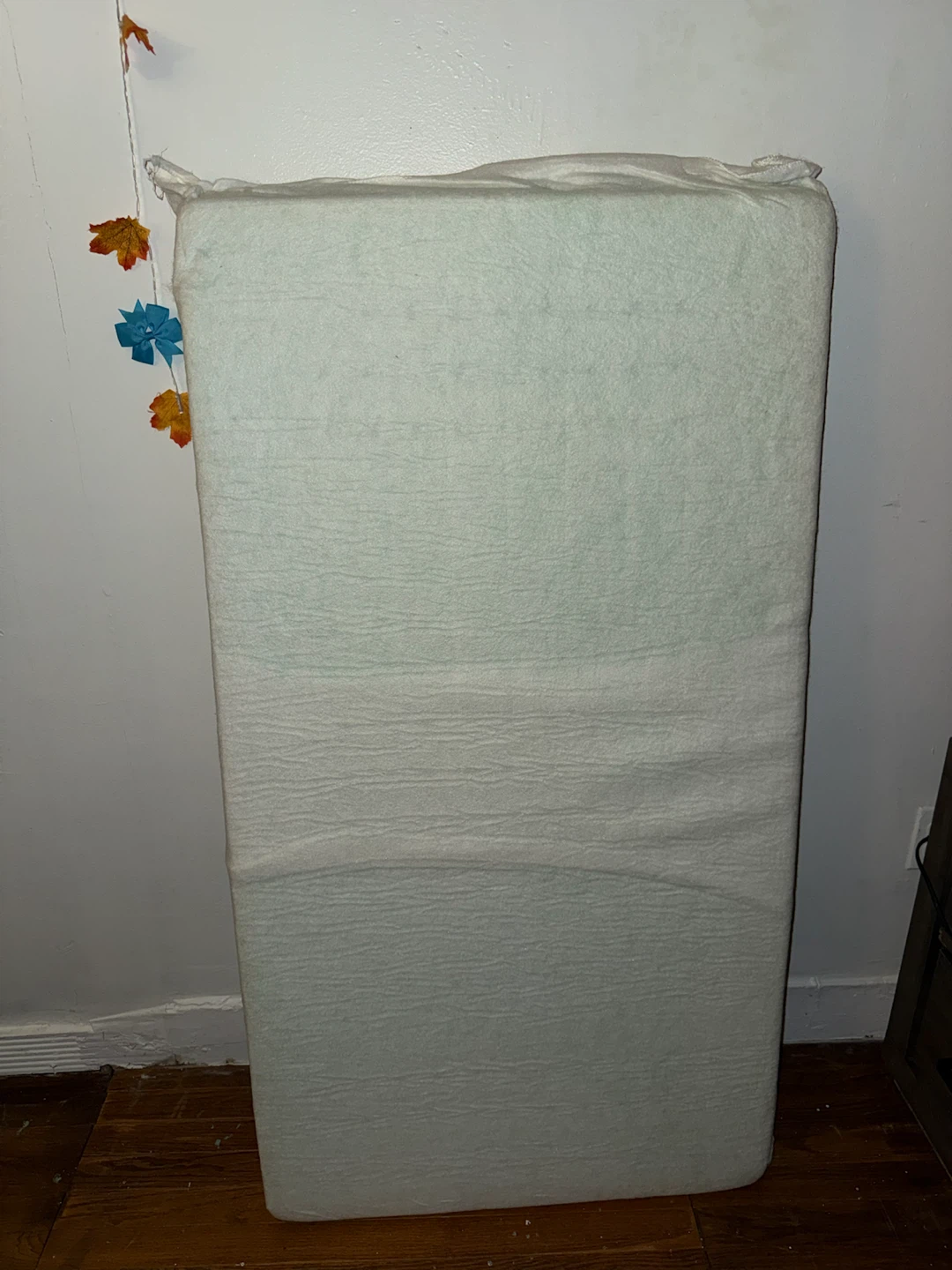 Baby Crib and Mattress