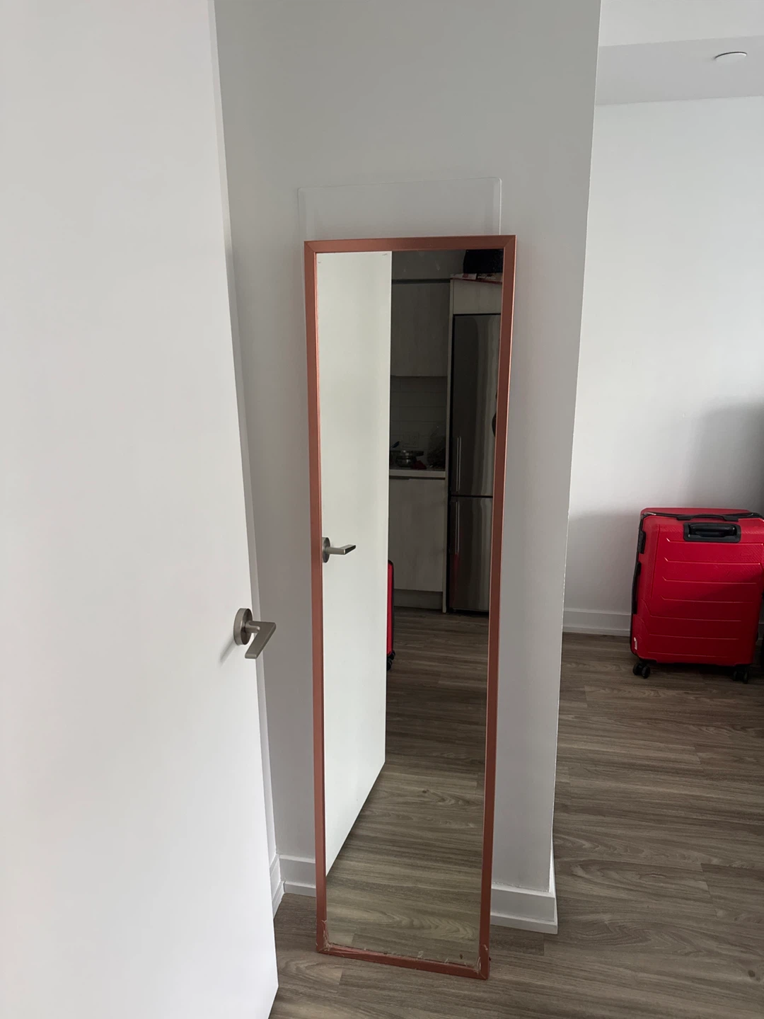 Full-length mirror with frame