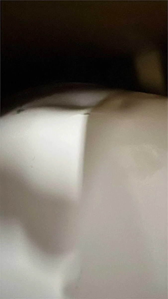 Max Water Heavy Duty 20 Gallon - photo 3