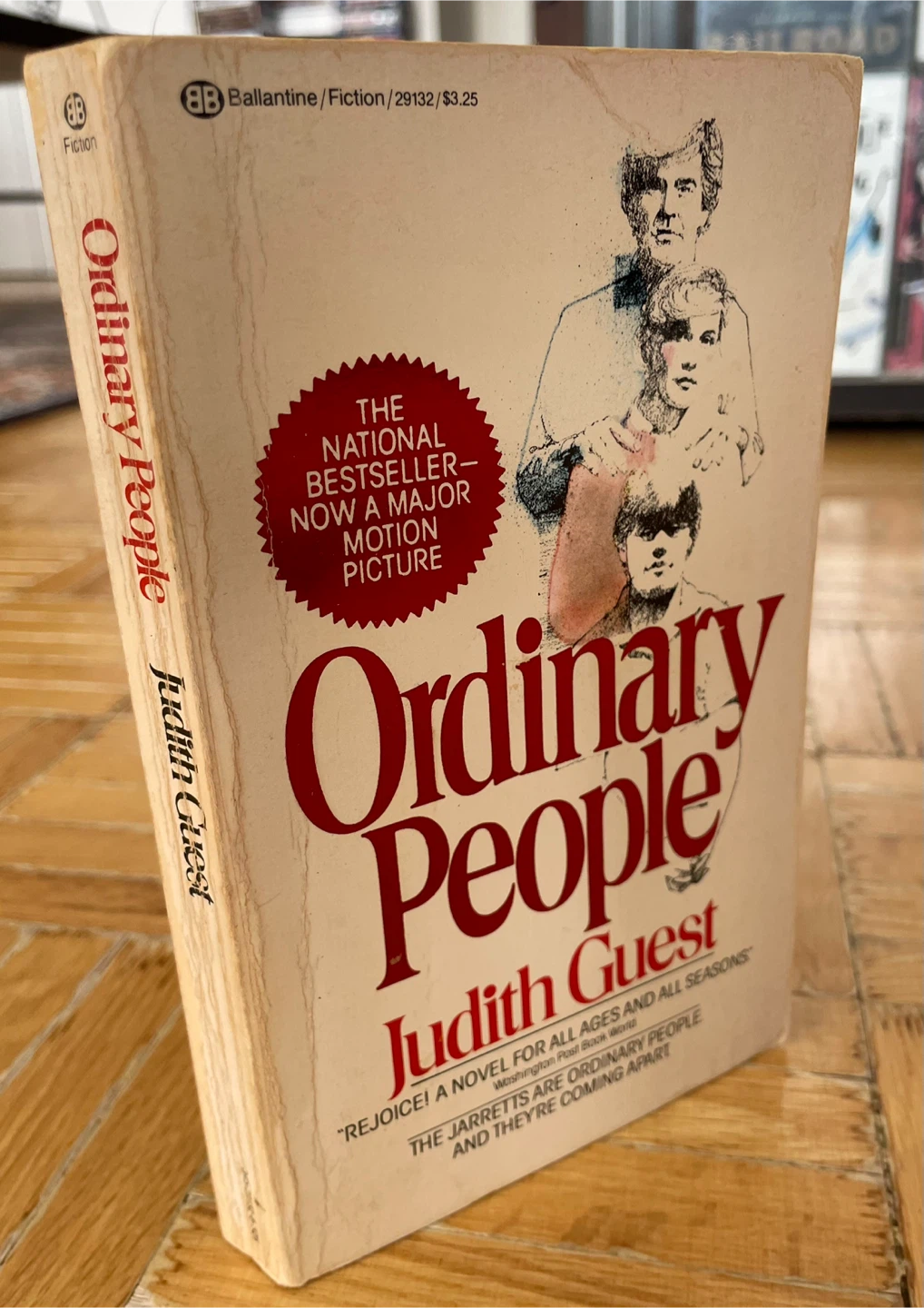 Vintage 1976 Ordinary People Paperback Book