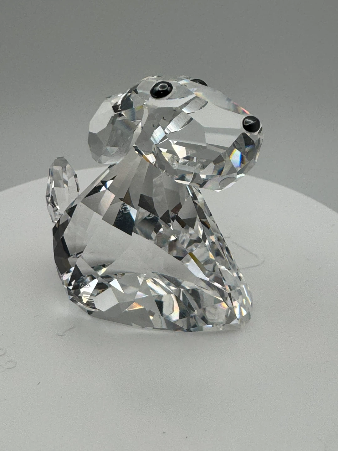 SWAROVSKI LOVLOTS ROBBIE B DOG