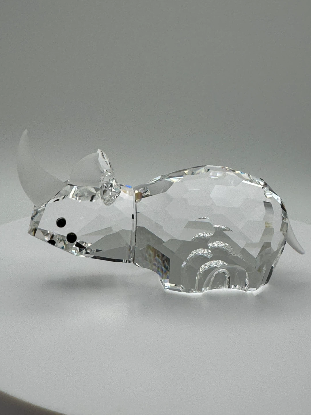 SWAROVSKI LARGE RHINOCEROS - 3” LONG IN ORIGINAL CYLINDER
