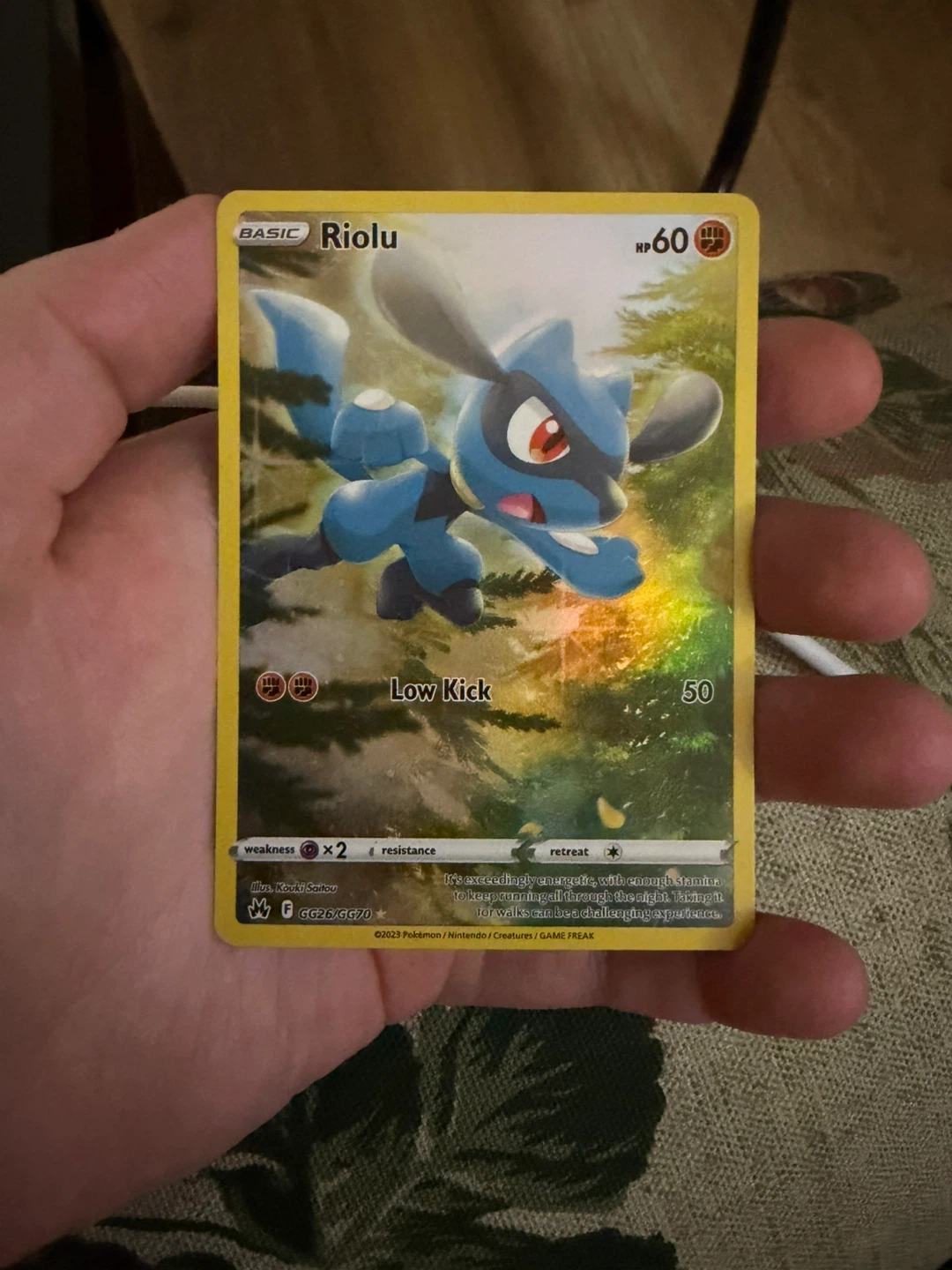 Riolu galarian gallery Trading Card