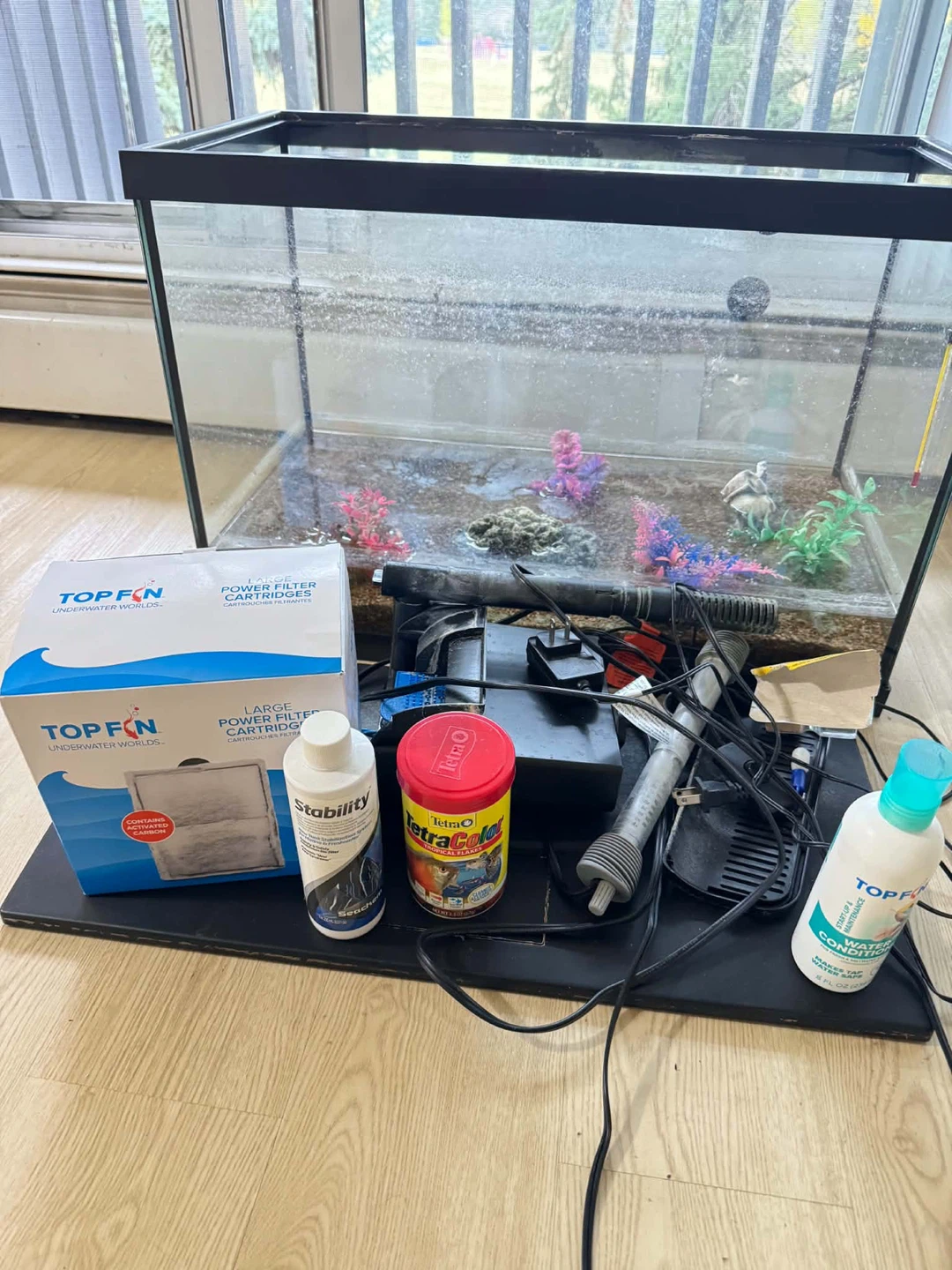 20 Gallons Fish Tank with Catfish, with Filter and Accessories