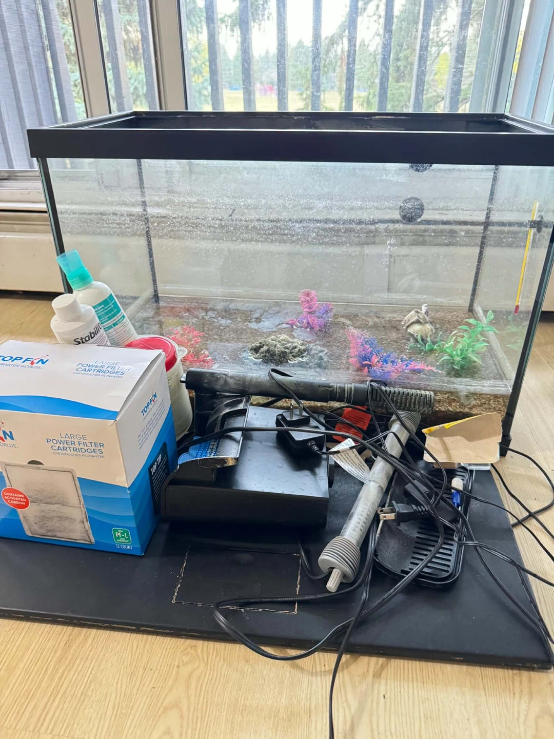 20 Gallons Fish Tank with Catfish, with Filter and Accessories - photo 2