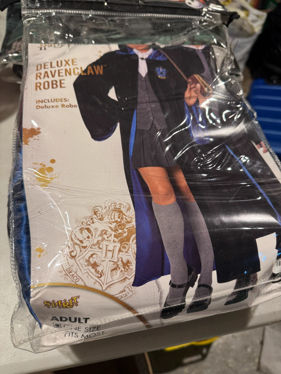 Spirit Halloween Deluxe Ravenclaw Robe