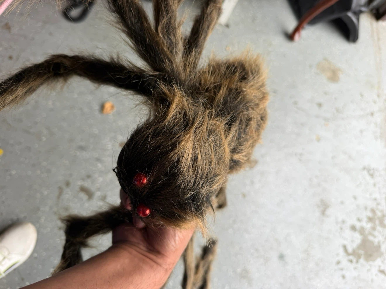 Hairy Halloween Spider Decoration - photo 3