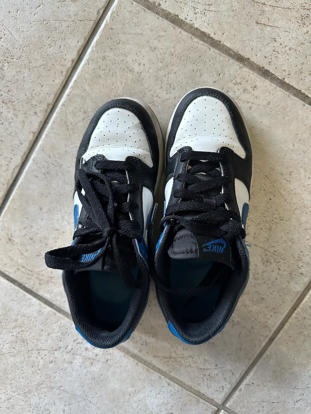 Nike Dunk Low Sneakers