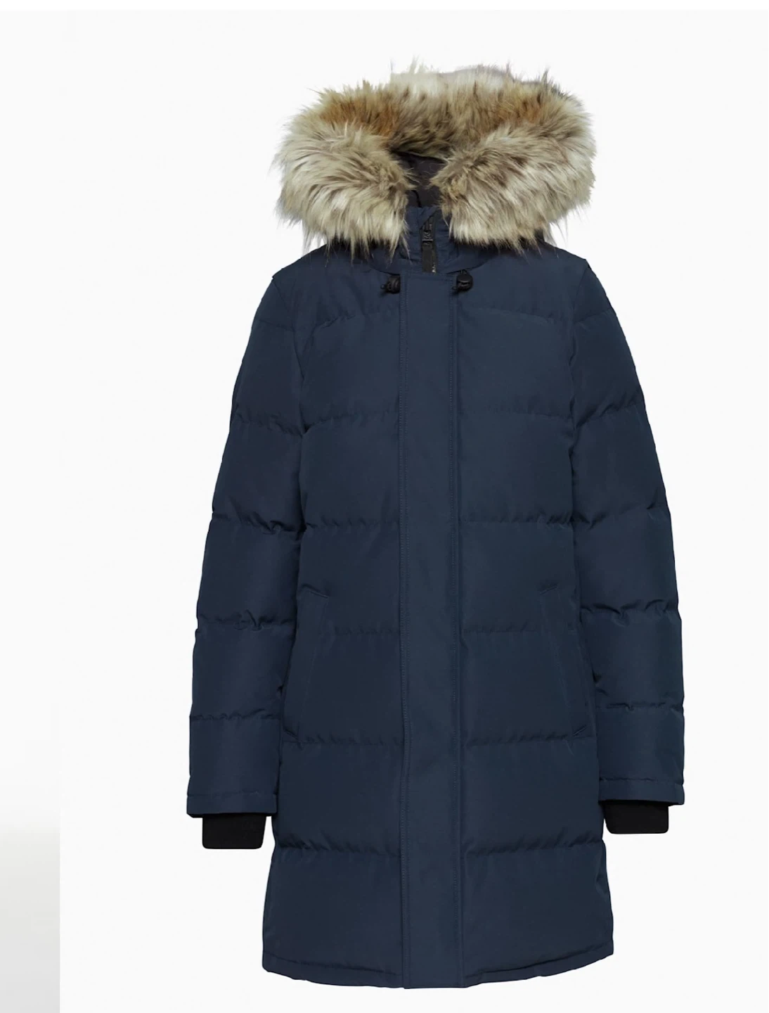 Aritzia Technical Parka