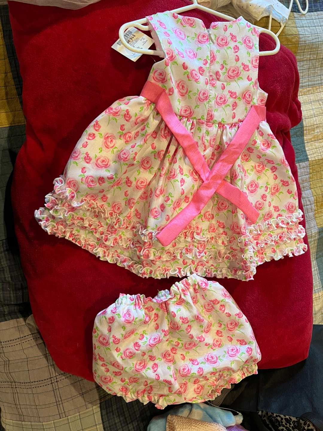 Baby Girl Floral Dress and Bloomers Set
