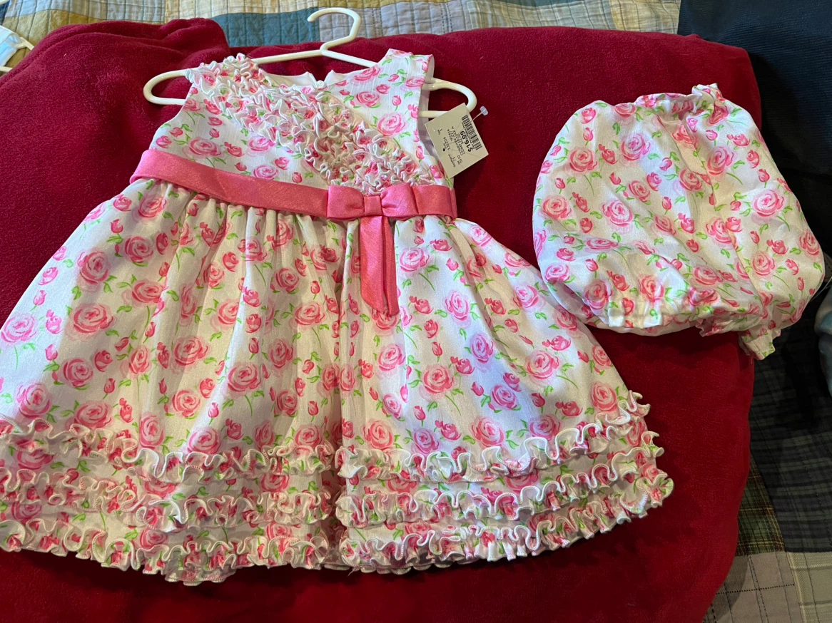 Baby Girl Floral Dress and Bloomers Set - photo 2