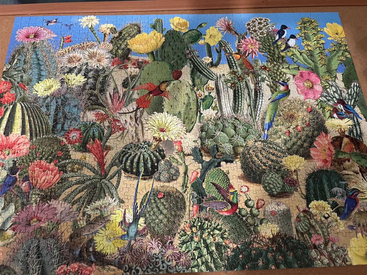 Cobble Hill 1000 Piece Cactus Puzzle - photo 2