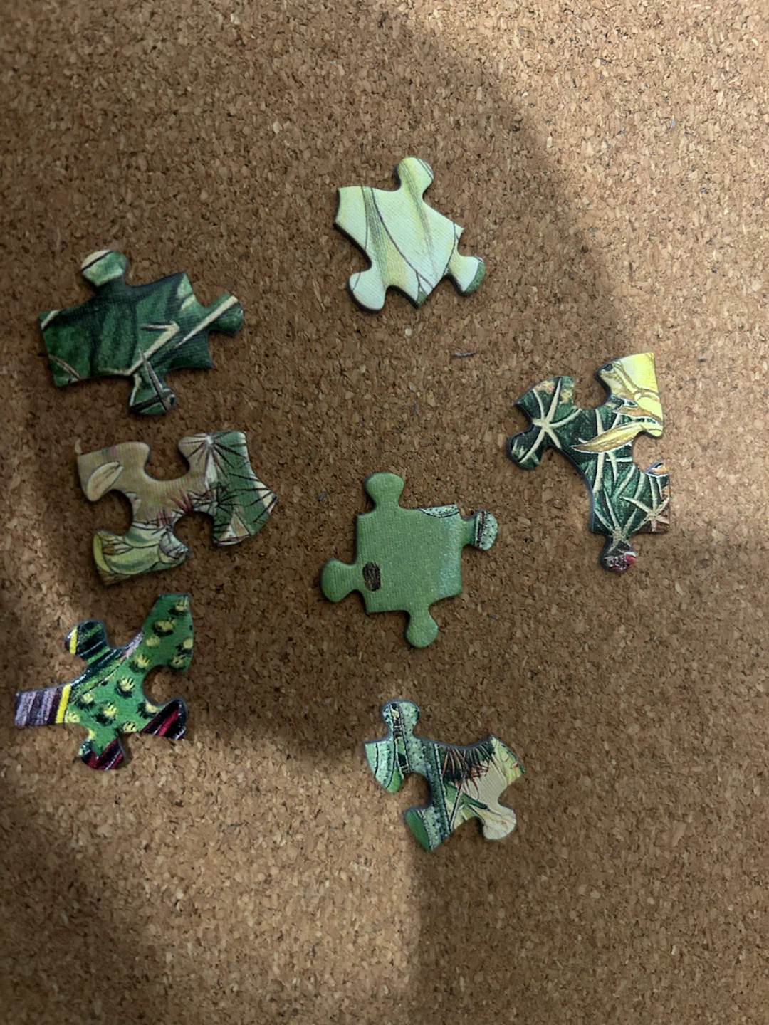 Cobble Hill 1000 Piece Cactus Puzzle - photo 3