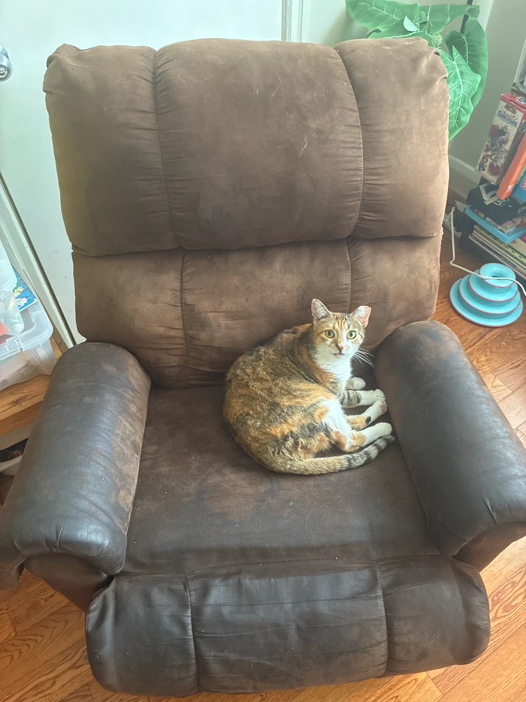 Brown Recliner Chair