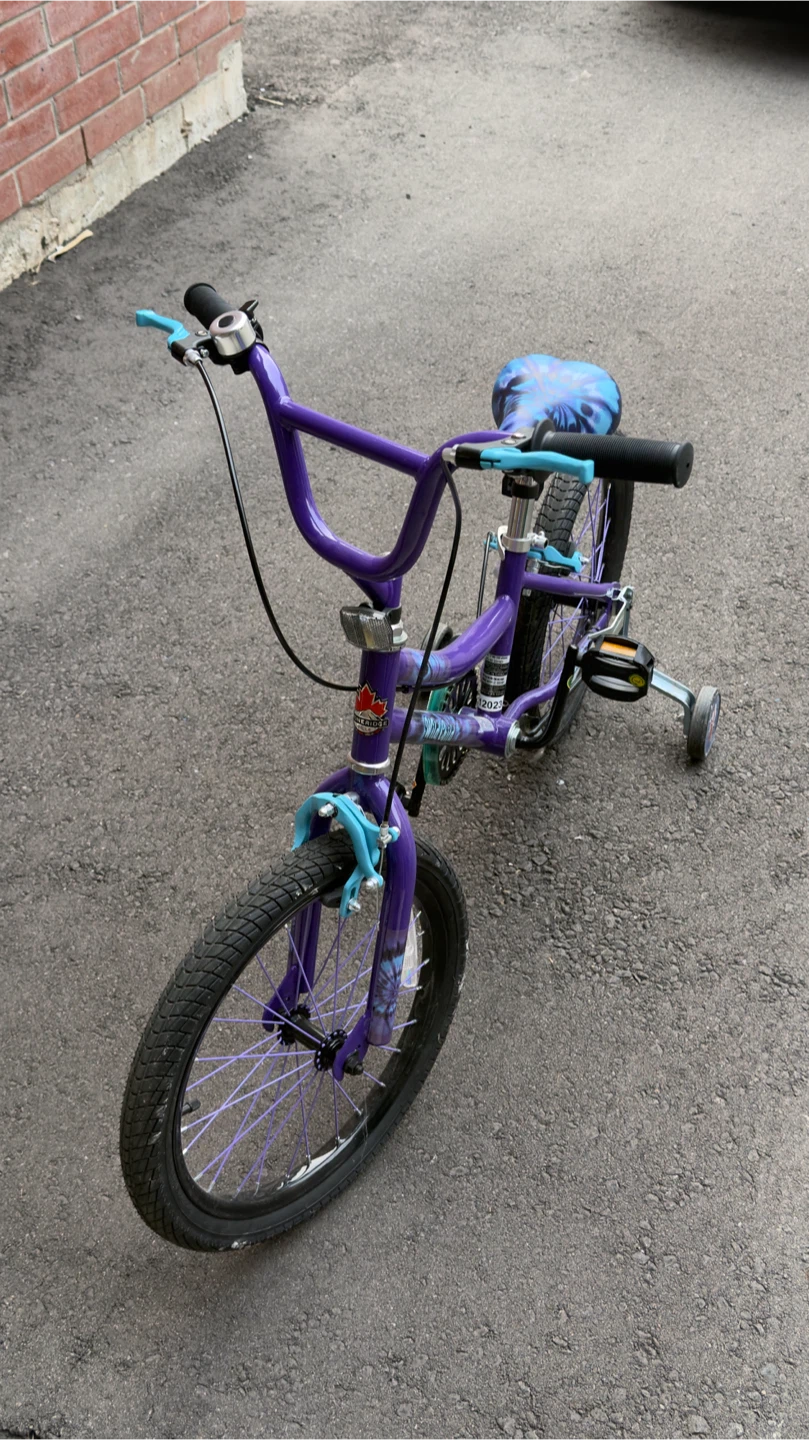 Supercycle Wild Child 16-inch Bicycle - photo 2