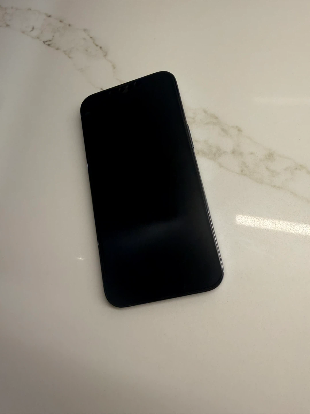 Apple iPhone 13 Pro 256GB - photo 2
