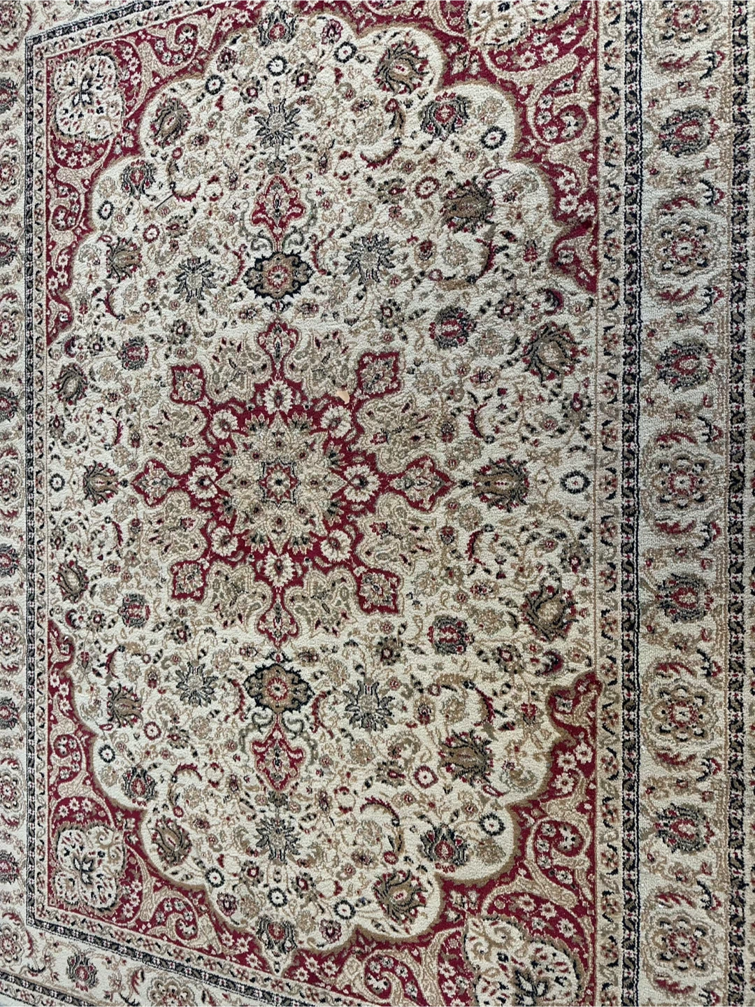 Traditional Oriental Style Area Rug - photo 3