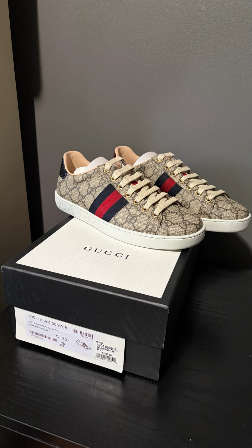 Gucci Ace sneakers, size 36+